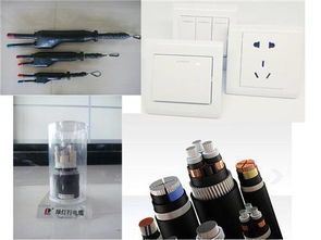 山東陽谷電纜集團與綠燈行電纜集團 深耕電力電纜領域的卓越力量