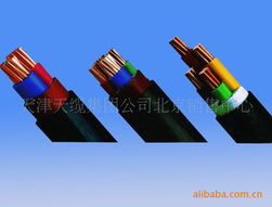 電力電纜技術(shù)專(zhuān)家劉國(guó)強(qiáng)的專(zhuān)業(yè)貢獻(xiàn)與行業(yè)影響